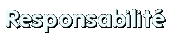 Responsabilit&eacute;