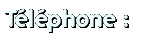 T&eacute;l&eacute;phone :